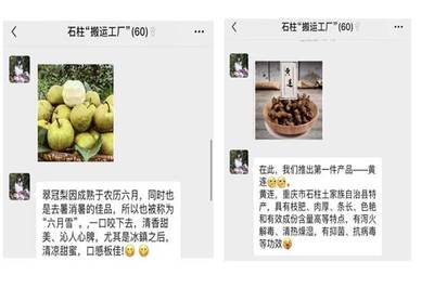 【三下鄉】“帶貨”農產品，教育咨詢助力脫貧